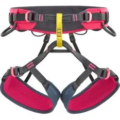 Climbing Technology Anthea Harness Women cyclamen/anthracite